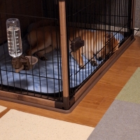 ★蒸れないふんわりクールマット・枕付き（旧：蒸れないソフトクールマット・枕付き）