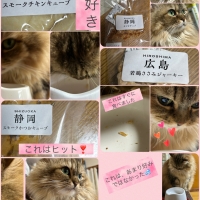 広島産　若鶏ささみジャーキー（PEPPY LIFE猫おやつシリーズ）