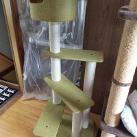 のぼりやすいらせんステップタワー（高さ119cm 据え置き型 シニア猫 子猫）