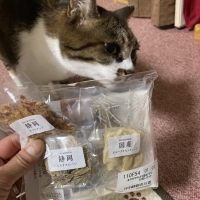 広島産　若鶏ささみジャーキー（PEPPY LIFE猫おやつシリーズ）