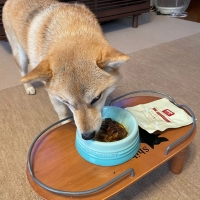 With You コトコト煮込んだ犬用ヤギミルクスープ
