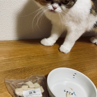 国産スモークチキンキューブ（PEPPY LIFE猫おやつシリーズ）