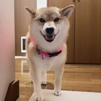 北の極 ごほうびソーセージ