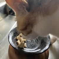 国産スモークチキンキューブ（PEPPY LIFE猫おやつシリーズ）