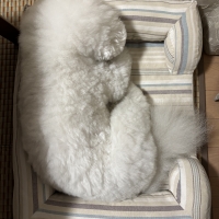 さわやかコットン スクエアソファー（旧：さわやかマリン　スクエアソファー）