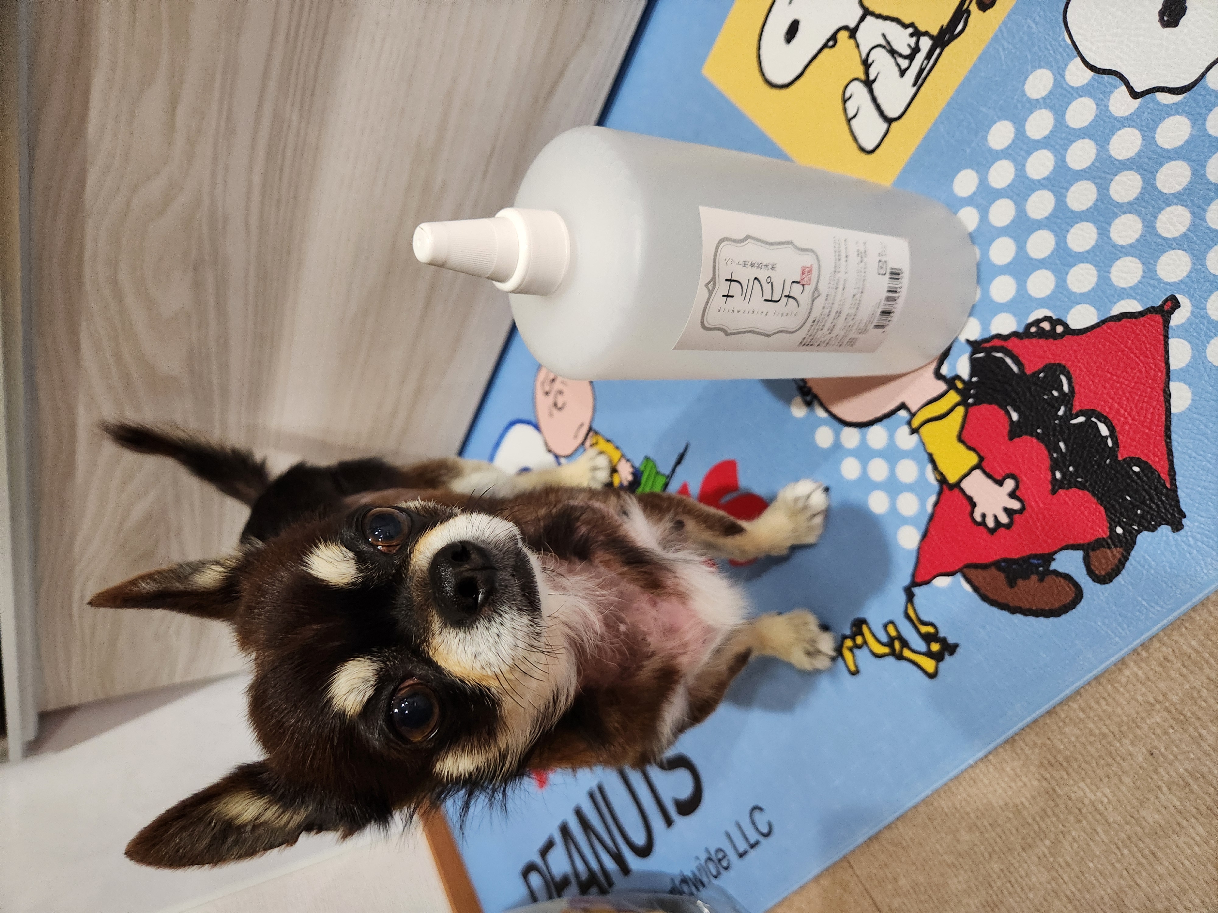 【10本セット】ペット用食器洗剤 サラピカ ポンプタイプ 200ml 天然三六五 Amazon.co.jp: 天然三六五 猫専用 食器洗剤 サラピカ ポンプ