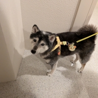 もっと虫よけエリアスマイル