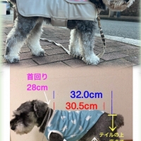 【PEPPY　LIFE】シャネツ　こかげマント（日差し対策）