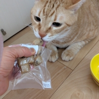 静岡産スモークかつおキューブ (素材のまんまおやつ猫シリーズ) 旧：PEPPYLIFEおやつ