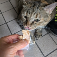 広島産若鶏ささみジャーキー (素材のまんまおやつ猫シリーズ) 旧：PEPPYLIFEおやつ
