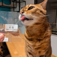 広島産　若鶏ささみジャーキー（PEPPY LIFE猫おやつシリーズ）