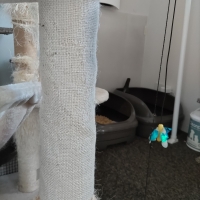 くるっと巻くだけ爪とぎカバー　キャットタワー用