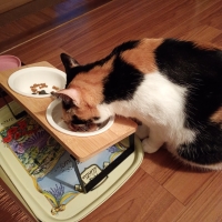 静岡産スモークかつおキューブ（PEPPY LIFE猫おやつシリーズ）