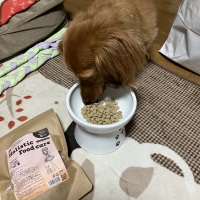 ホリスティックフードケア　ドライ 氣（き）