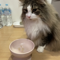 国産スモークチキンキューブ（PEPPY LIFE猫おやつシリーズ）