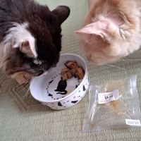 静岡産スモークかつおキューブ（PEPPY LIFE猫おやつシリーズ）