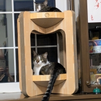 バリバリボウルタワー