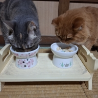 国産スモークチキンキューブ（PEPPY LIFE猫おやつシリーズ）