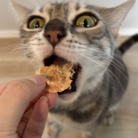 広島産　若鶏ささみジャーキー（PEPPY LIFE猫おやつシリーズ）