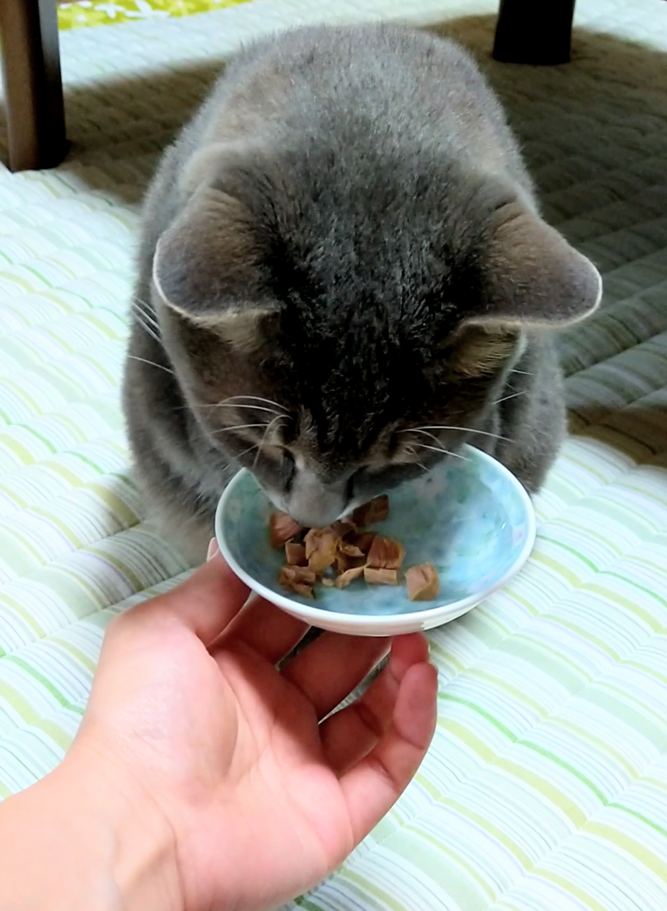 国産スモークチキンキューブ（PEPPY LIFE猫おやつシリーズ）