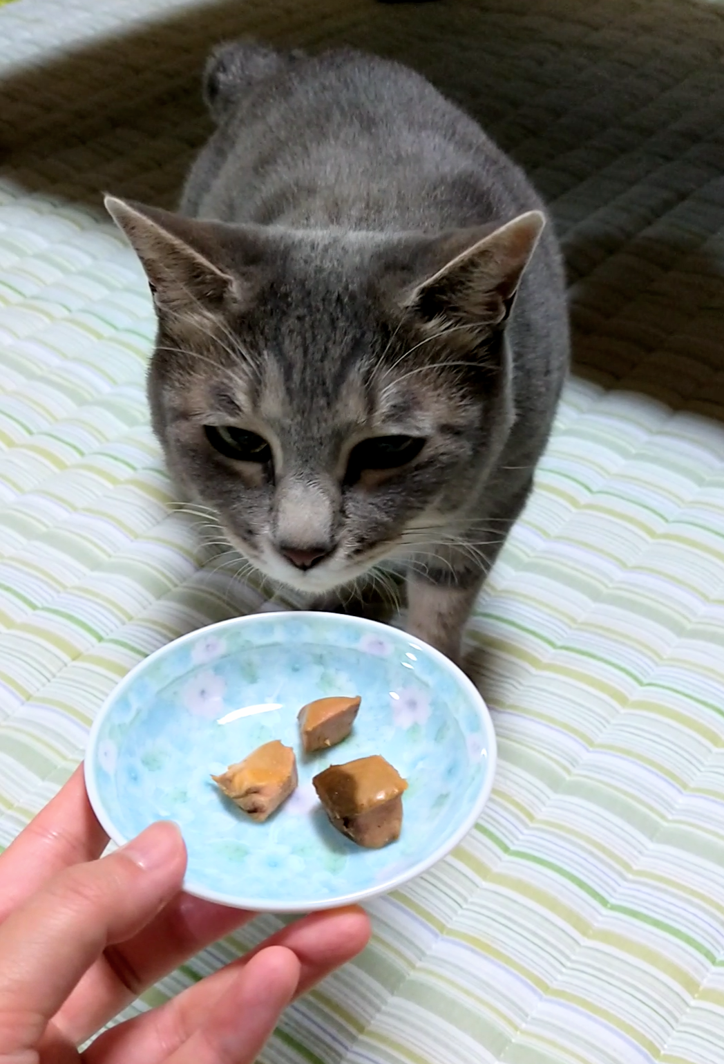 静岡産スモークかつおキューブ（PEPPY LIFE猫おやつシリーズ）