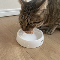 広島産　若鶏ささみジャーキー（PEPPY LIFE猫おやつシリーズ）