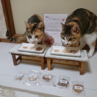 静岡産スモークかつおキューブ（PEPPY LIFE猫おやつシリーズ）