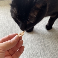 広島産　若鶏ささみジャーキー（PEPPY LIFE猫おやつシリーズ）