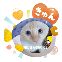 どこでもスリムキャットタワー（高さ147cm　据え置き型　スリム　ハウス）