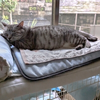 Ｅｃｏ　ｄｅ（Ｒ）クールマット