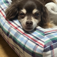 さわやかコットン スクエアソファー（旧：さわやかマリン　スクエアソファー）