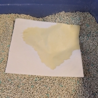 検尿用採尿シート