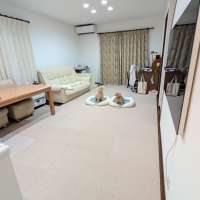 ピタッと吸着タイルマット 大判サイズ(犬 猫 滑り止め）