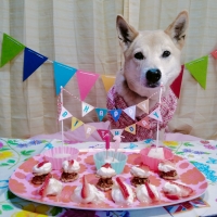 わんごはんのおとも　フリーズドライ