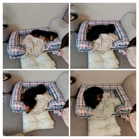 さわやかコットン スクエアソファー（旧：さわやかマリン　スクエアソファー）