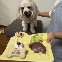 北の極 デリカテッセン（北海道産）
