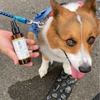 ＡＰＤＣ ニーム＆シトロネラスプレー（犬用虫除けスプレー）