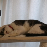 タワーオブ・トラックス