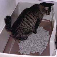 ★マジカルサンド　超清潔　システムトイレ用