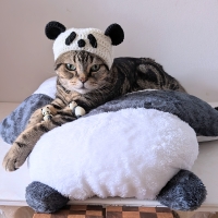 もちふわアニマルベッド