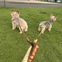 あしたも走ろっ