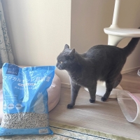 ★マジカルサンド　超清潔　システムトイレ用