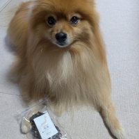 広島産 鶏レバージャーキー(PEPPY LIFE 犬おやつシリーズ)