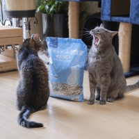 ★マジカルサンド　超清潔　システムトイレ用