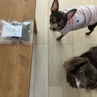 広島産 鶏レバージャーキー(PEPPY LIFE 犬おやつシリーズ)