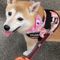 もっと虫よけエリアスマイル