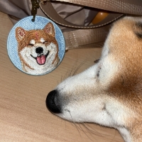 ナノウエルオーラルケア（愛犬用）