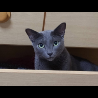 ★マジカルサンド　超清潔　システムトイレ用