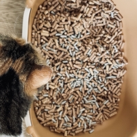 ★マジカルサンド　超清潔　システムトイレ用