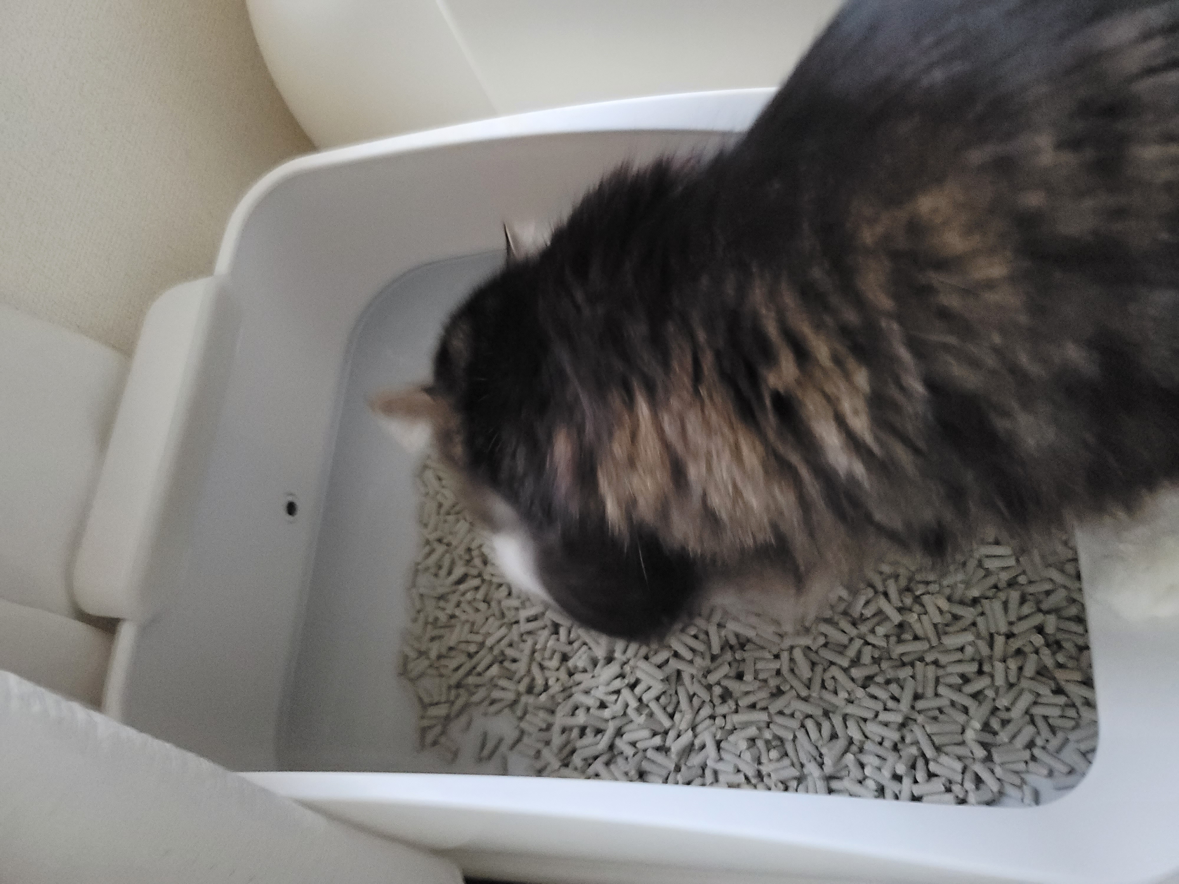 ★マジカルサンド　超清潔　システムトイレ用